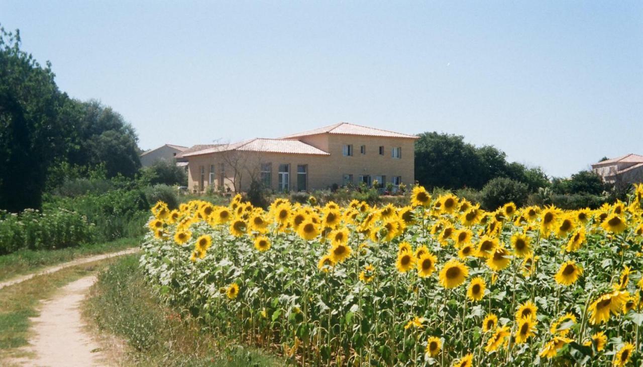Villa La Charmeuse Fleurie Collias Extérieur photo